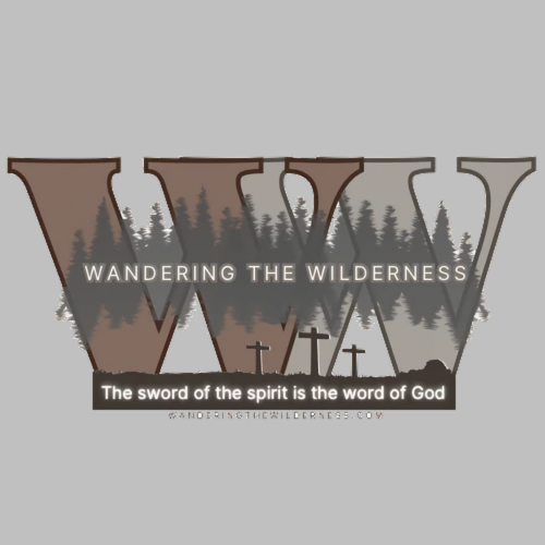Wandering The Wilderness